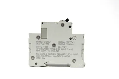 LOT OF 2 NEW SQUARE D 17421 CIRCUIT BREAKERS D0.5 A C60 MULTI 9