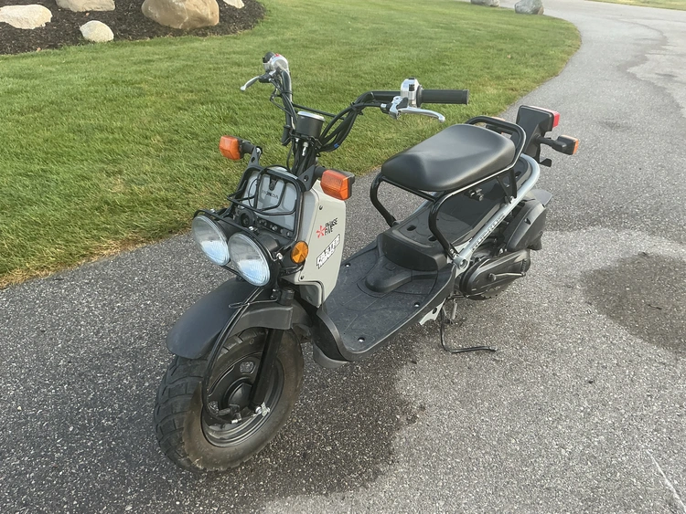 Used 2022 HONDA NPS50 Motorcycles (Misc) Michigan US | Miedema Asset Management Group #1321286