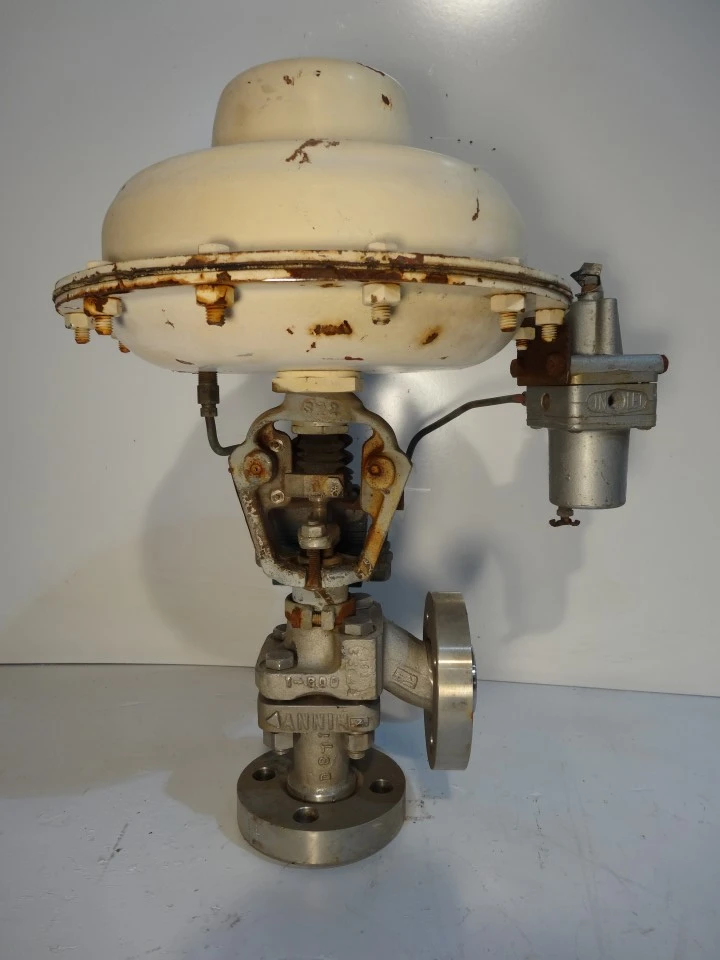 Annin 1", Class 600, CF8M Control Valve