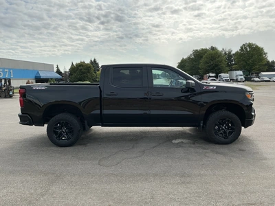 Used 2024 CHEVROLET SILVERADO 1500 Pickup Trucks Michigan US | Miedema Asset Management Group #1324122