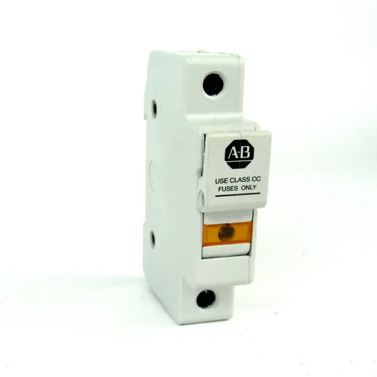 Used ALLEN BRADLEY 1492-FB1C30-L Fuses Kentucky US | Industrial Parts R Us Inc. #357766