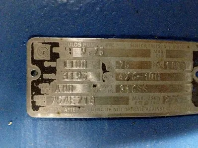 USED Goulds 3196 MTX