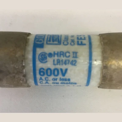 Gould 2 Amp Fuse
