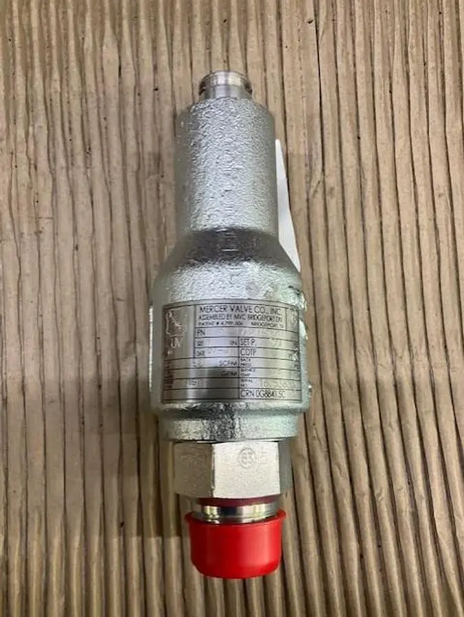 Mercer Conventional Relief Valve PN81-17151T58G11