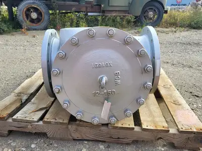 NEW DSI VALVES 137XU
