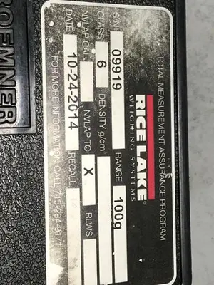 USED RICE LAKE 100G