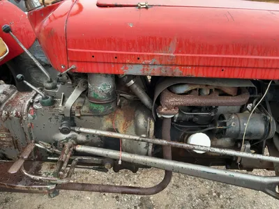Used FERGUSON TO-35 Utility Tractors Michigan US | Miedema Asset Management Group #1327297