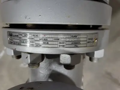 2" Class 600 Gate Valve API 600