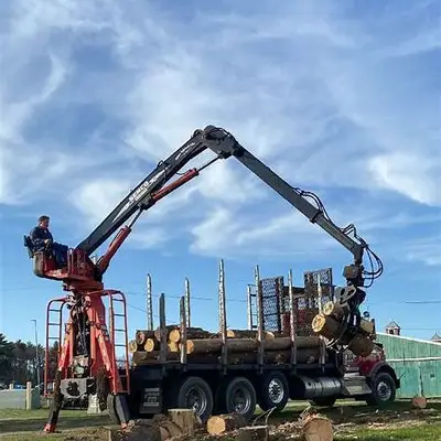 Slide 6