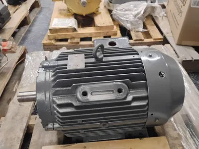 BROOK CROMPTON WP-DF256TSH-T2 A.C. Motors | ESS Industrial Equipment Sales (4)