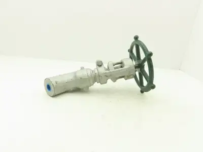 Rockwell Edward B36124 Univalve Globe Valve Y-Pattern 1/2"Socket Weld 1880psi