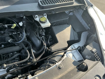Used 2019 FORD ESCAPE SUVs Michigan US | Miedema Asset Management Group #1320461