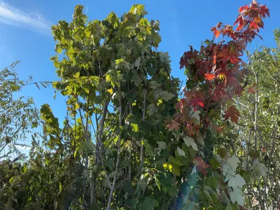 Used _UNKNOWN_ _UNKNOWN_ Farm Supplies Michigan US | Miedema Asset Management Group #1476007