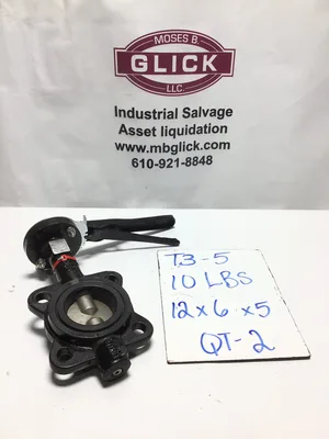 AT Controls OSB-W1-0250-ESR-HE Butterfly Valve