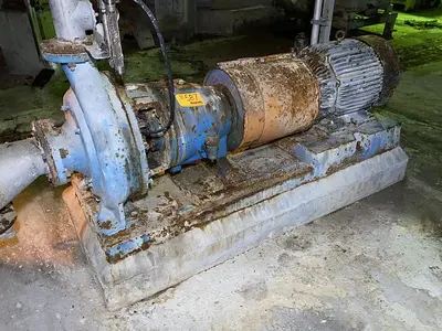 USED GOULDS 3175S