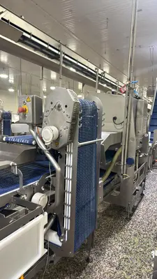 USED MAREL SENSORYX