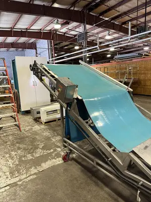 FOOD PROCESS AUTOMATION 48IN WIDE BELT INCLINE CONVEYOR WITH LOMA METAL DETECTOR