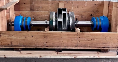 USED Goulds 3420