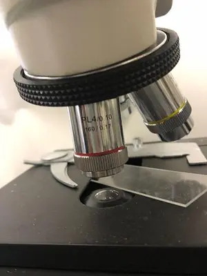Cole Parmer Microscope B2-SERIES
