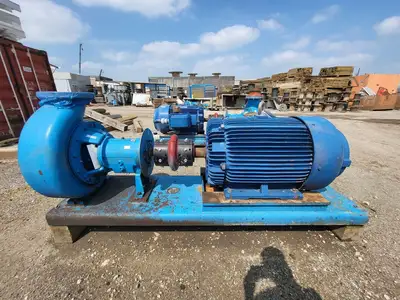 USED GOULDS 3196