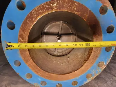10" Class 300 Flanged Check Valve B16.34