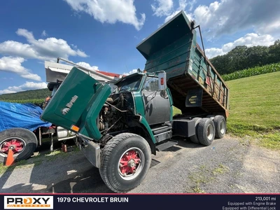 Used 1979 CHEVROLET BRUIN Dump trucks Pennsylvania US | Proxy Equipment #1377853