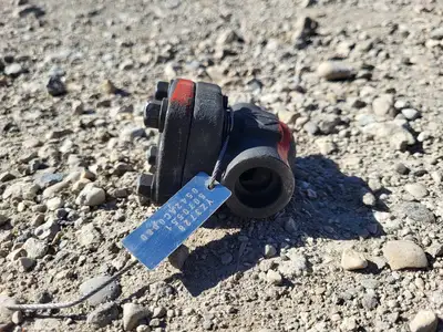 1/2" Class 800 Check Valve API 602