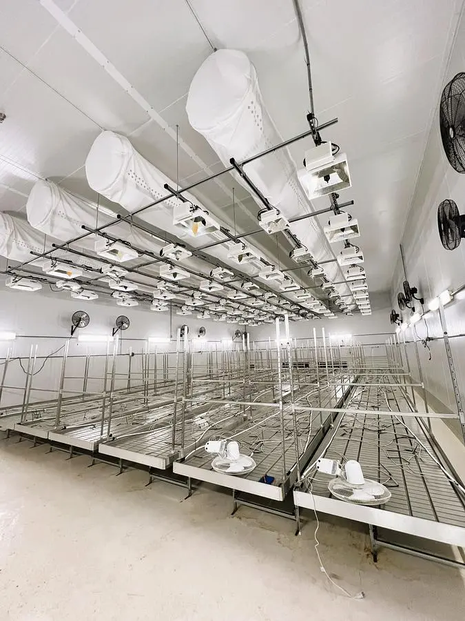 Rolling Vegetation Grow Tables (w/ fans, irrigation lines, grow lights) by Innovative Growers Equipment