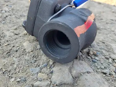 1" Class 800 Check Valve API 602
