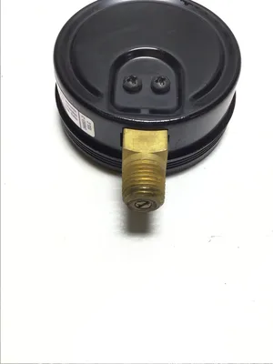 Marsh J4882 Pressure Gauge 5000PSI