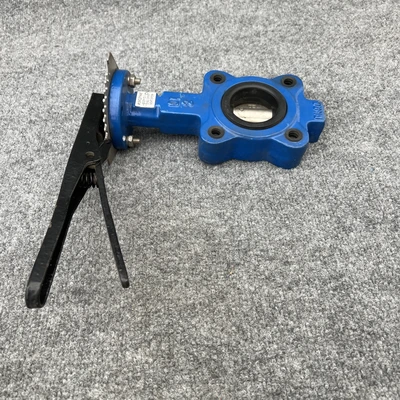 New | in-Stock WHEATLEY BFV-030L Pump & Valve Parts California US | Davliegogo LLC #1706944