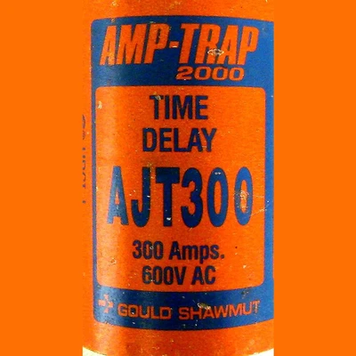 Gould Class J 300 Amp Fuse