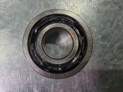 Double Row Deep Groove Ball Bearing 4203BTN