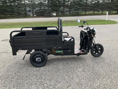 Used 2026 SDLANCH ET13 Utility Vehicles Michigan US | Miedema Asset Management Group #1423731