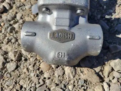 NEW LADISH 8863