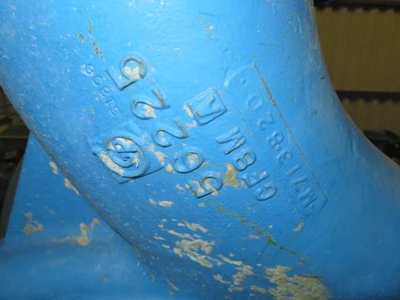 USED Goulds 3175