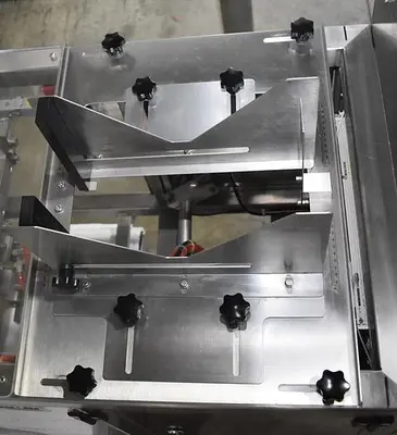 Apai bagger with 10 head scale