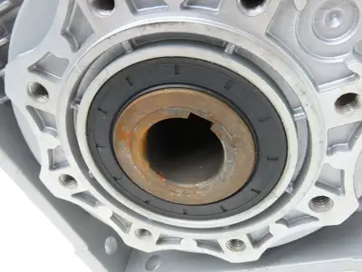 Jiangyin Guoliang NMRV 090 Worm Gearbox 25:1 Reducer 60 RPM Hollow Shaft