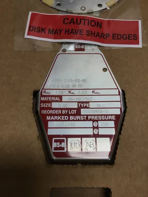 BS&B 9999-2165-XX-01 Safety Systems Rupture Disk 2″ Type RLS 287 PSIG