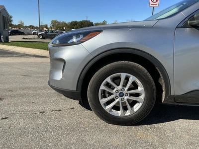 Used 2022 FORD ESCAPE Utility Vehicles Michigan US | Miedema Asset Management Group #1732726