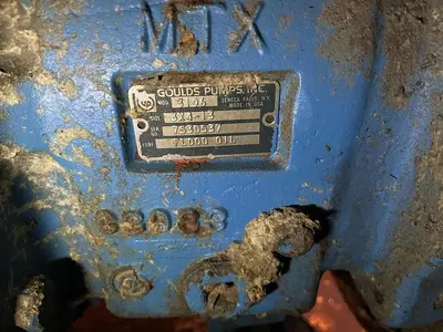 USED GOULDS 3196MXT