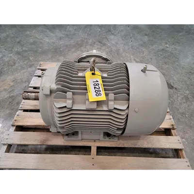 NEW SIEMENS P19
