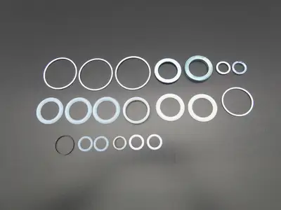 Graco 255509 Seal Kit for L200CS Check-Mate 200cc Severe Duty Displacement Pump