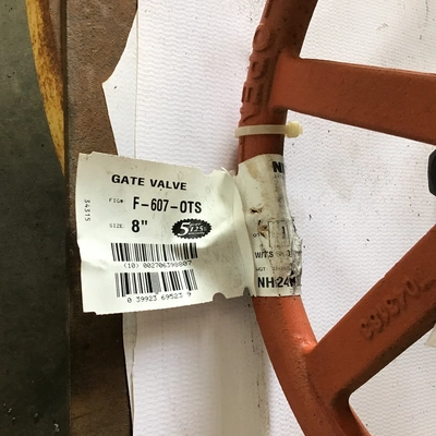 Unbranded F-607-OTS 8″ Cast Iron Fire Main Gate Valve