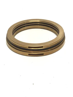 Flowserve 62298831 BRNZ Bearing Guard