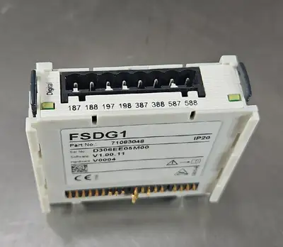 USED Endress Hauser FSDG1