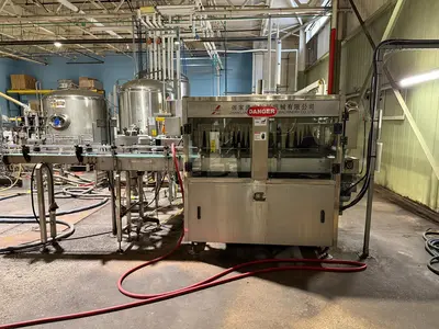 2019 SAIWEISI PLJ-11000 BOTTLE HEATING MACHINE | ListingHippo (13)