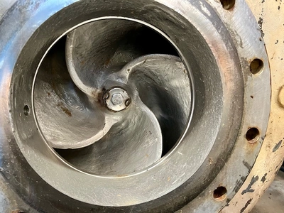 USED Goulds 3175