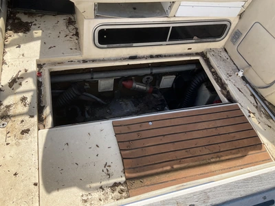 Used 1988 SEA RAY SORRENTO 25 Boats (Misc) Michigan US | Miedema Asset Management Group #1384746