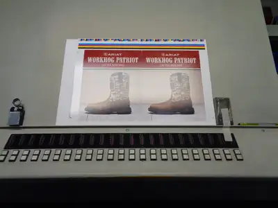 1998 Heidelberg 5 Color + Coater -SM74 5P3+L